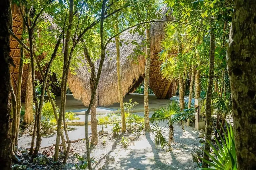 Apartment Ferienwohnung Jungle Lounge Barefoot Luxury 3Br Two Level Penthouse With Pool In Luum Zama Tulum Mexiko